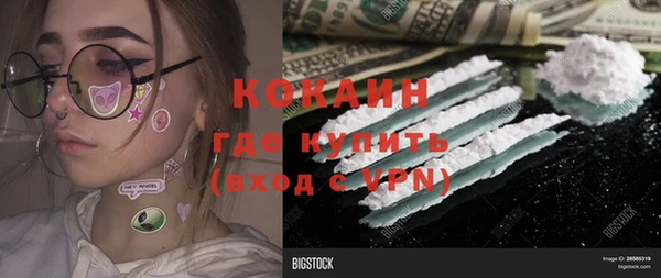 стаф Абаза