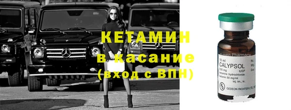 стаф Нея