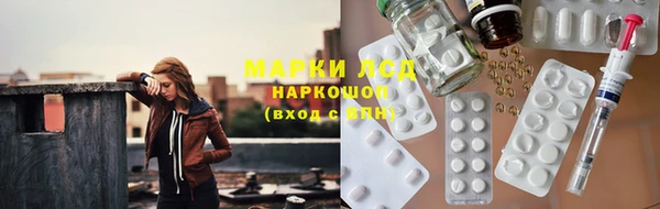 стаф Нея