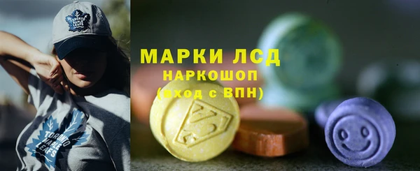 стаф Нея