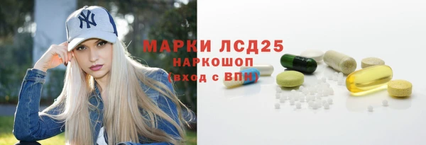 стаф Нея