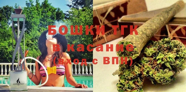 стаф Абаза