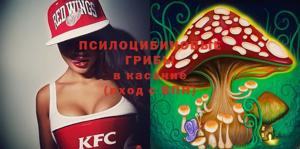 стаф Абаза